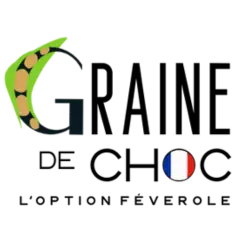 Graine de choc - Milatea - La nouvelle gourmandise